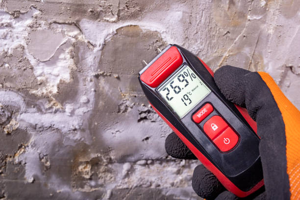Best Residential Mold Removal  in Manila, AR