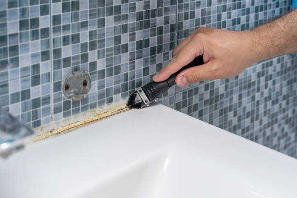 Best Office Mold Removal Services  in Manila, AR