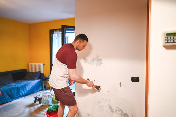 Certified Mold Removal in Manila, AR